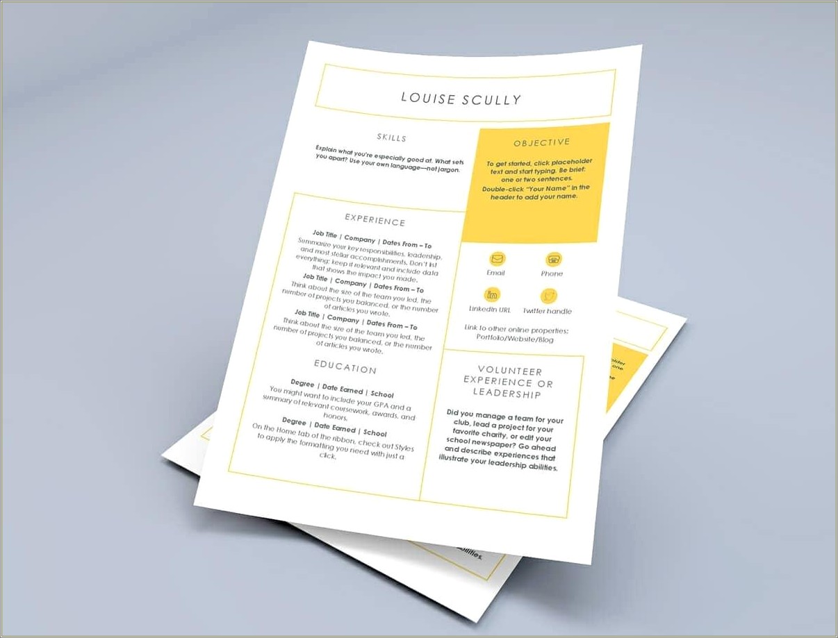 Resume Template Word Free Download Moo