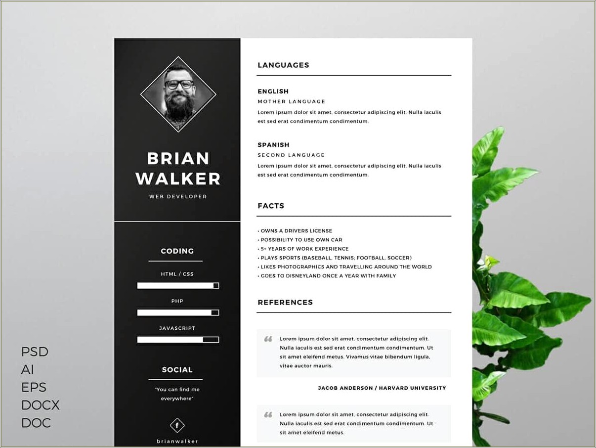 Resume Templates For Ms Word Free