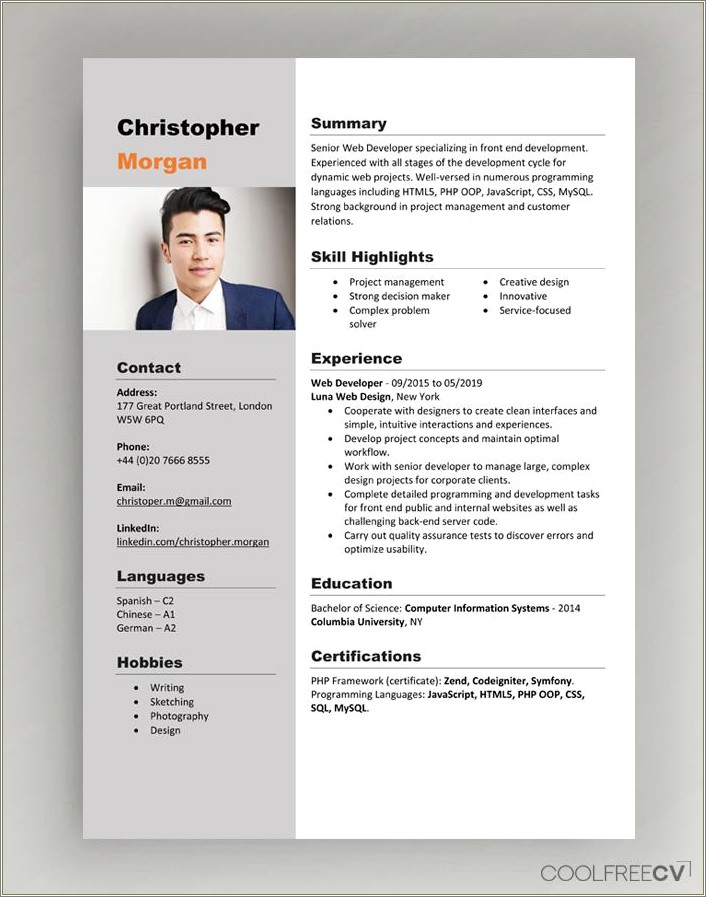 Resume Templates For Online Writer Positions