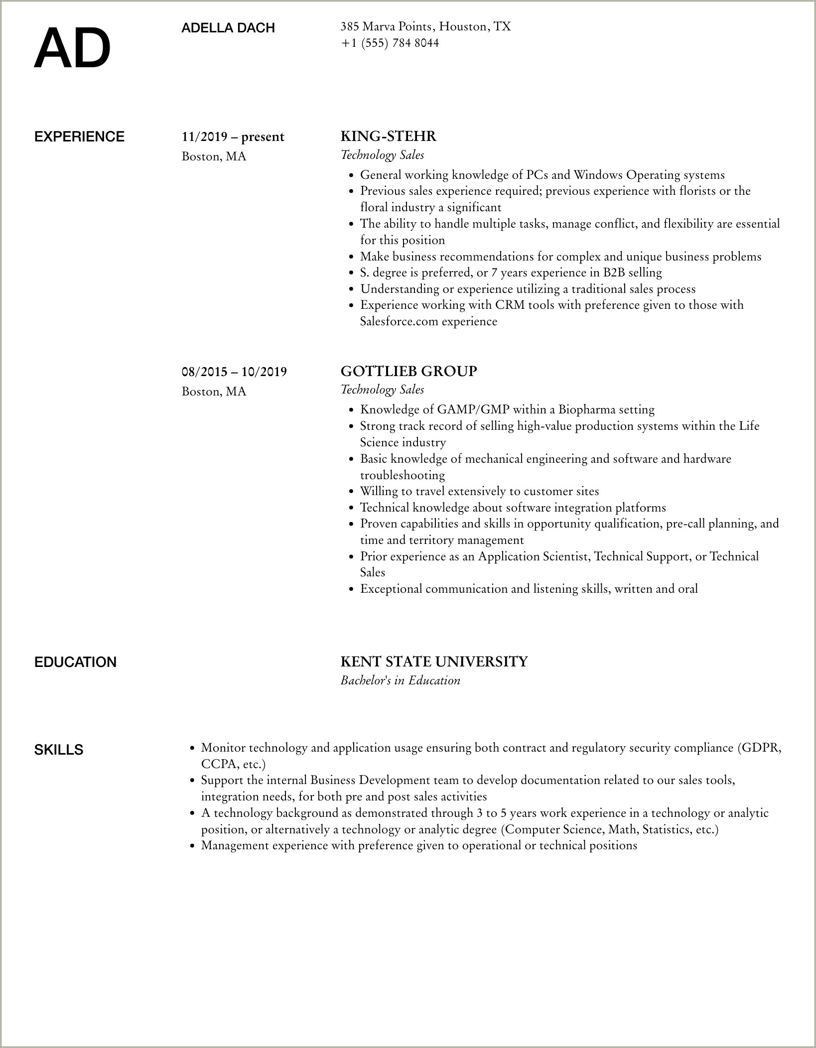 Resume Templates For Technology Sales Jobs