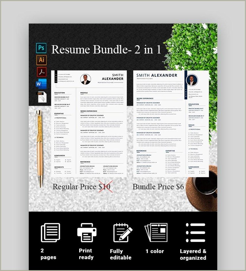 Resume Templates Free Download For Drive