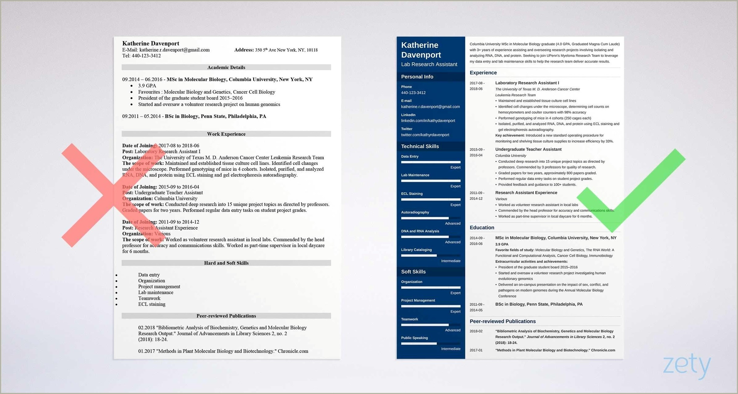 Resume Templates Word For Experienced Researchers