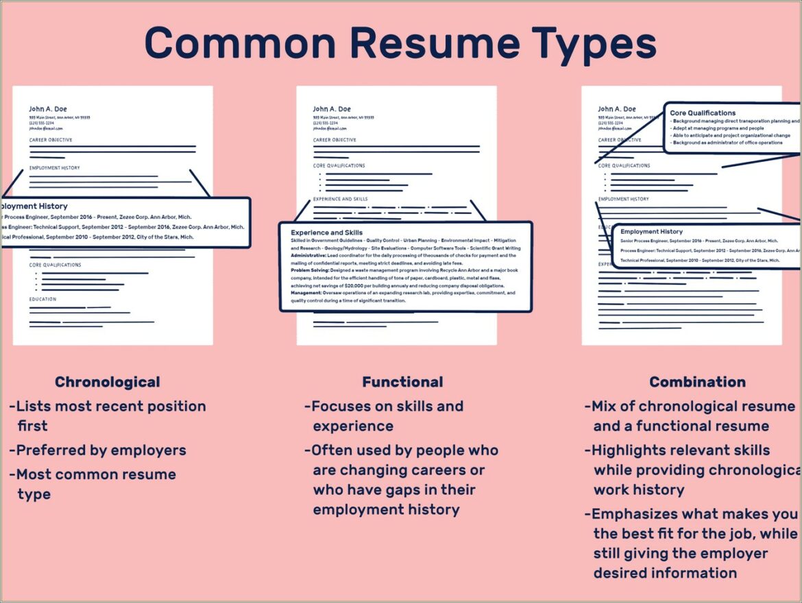 Resume With Different Chronological Order Within Sections Examples