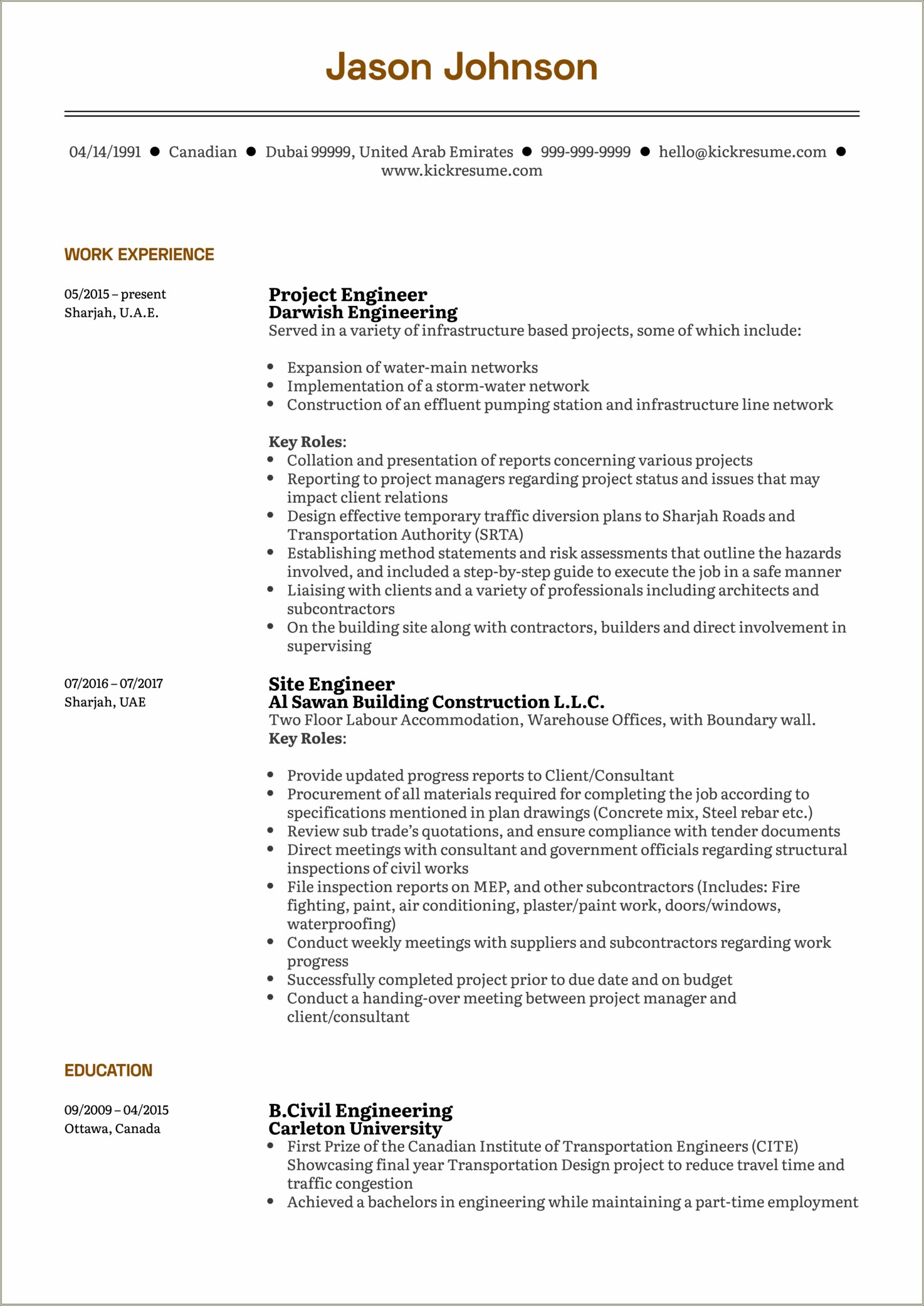 Resume With Lots Of Travel Experience Example