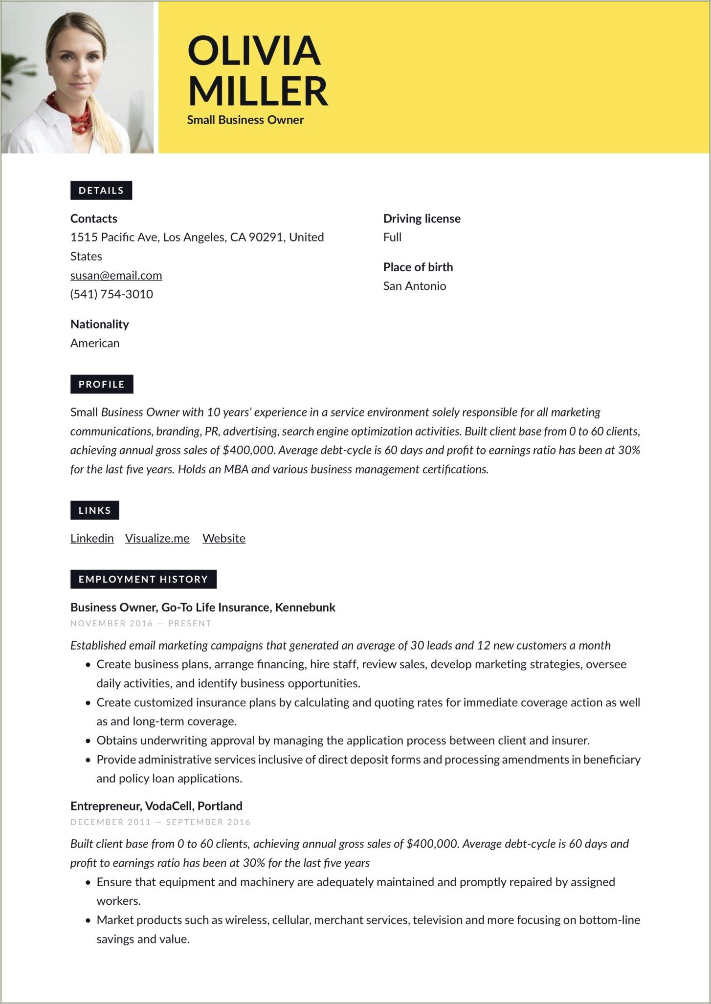 Resumes Examples Of Cleaning Company Business Owner