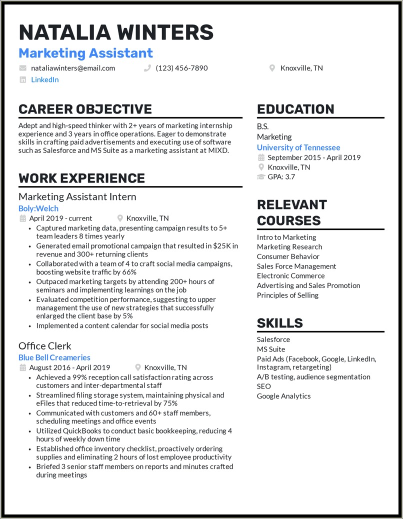 Sales And Marketing Assistant Resume Sample