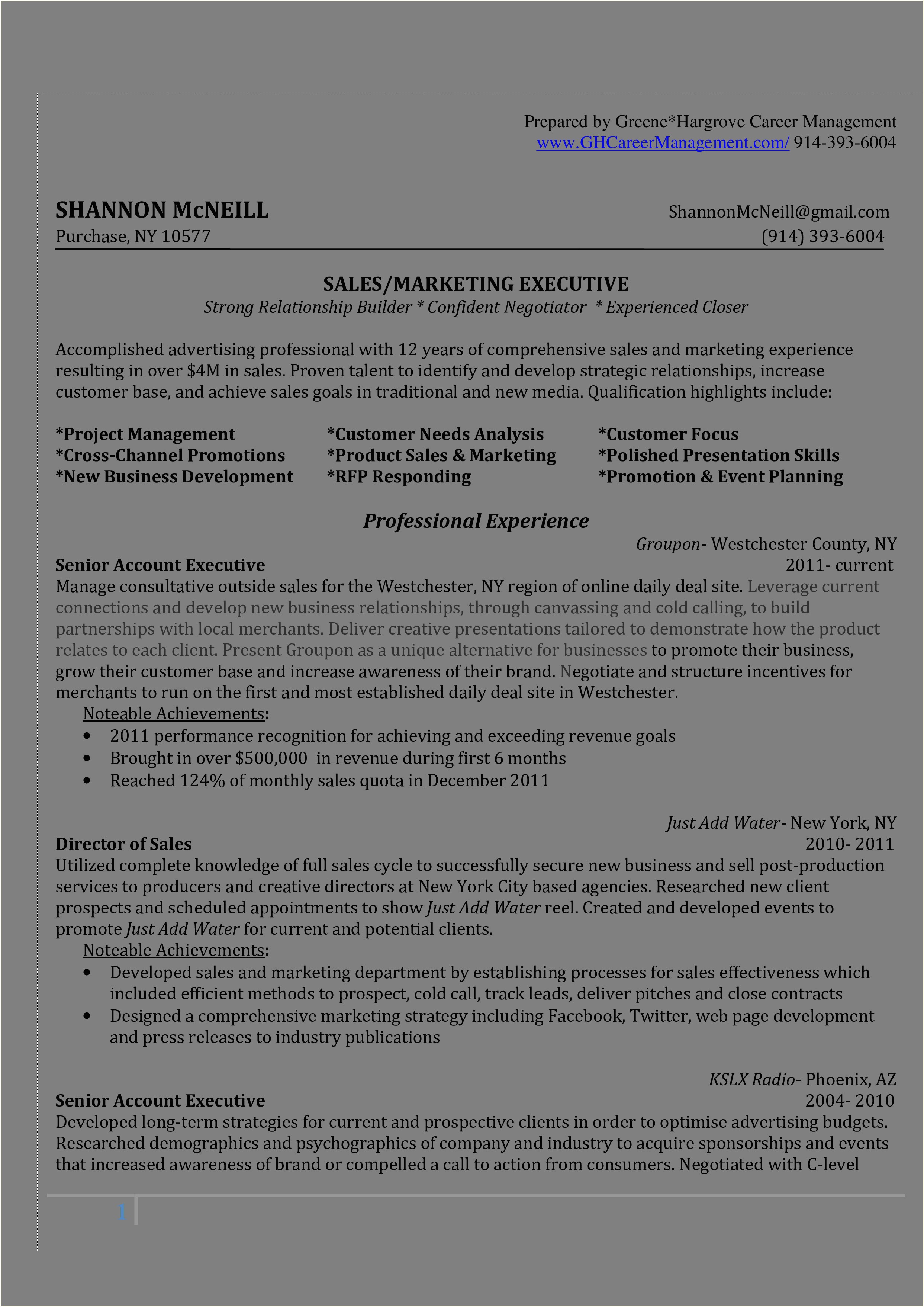 Sales And Marketing Executive Sample Resume