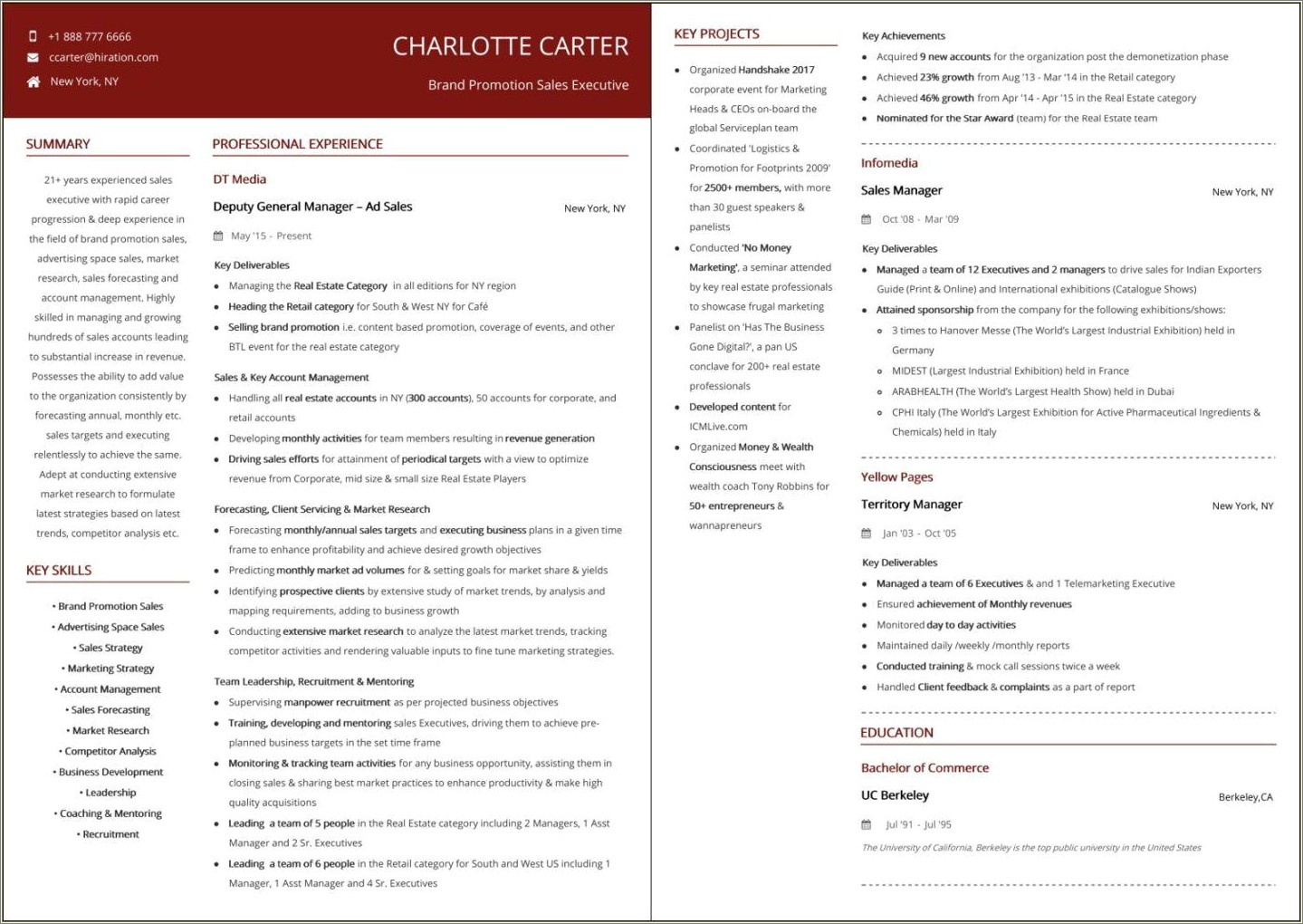 Sales And Marketing Manager Resume Examples