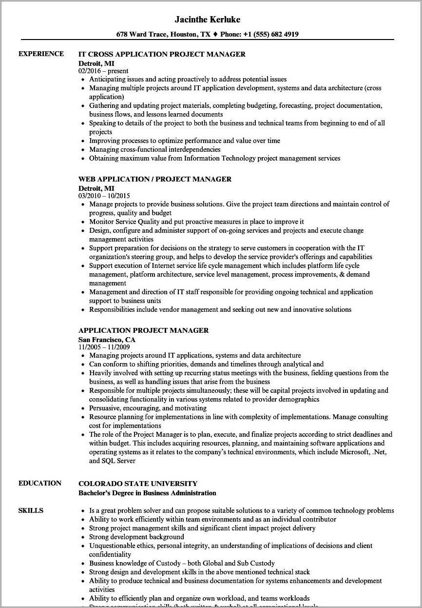 Sample Application Development Project Manager Resume