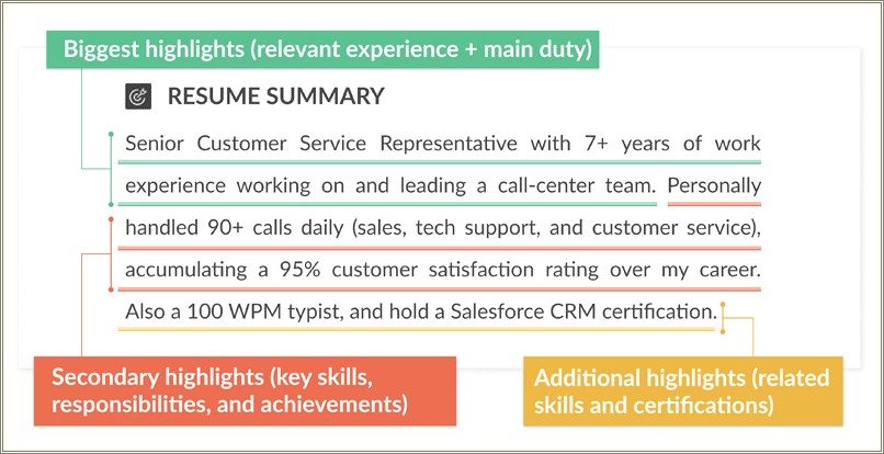 Sample Executive Summary On A Resume