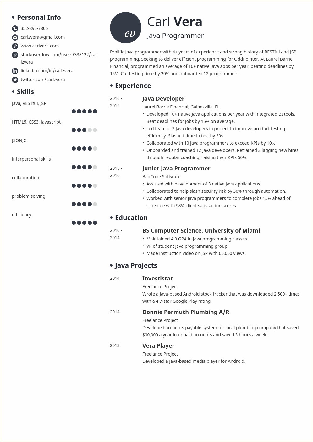 Sample For Resume Summary Entry Level Programmer