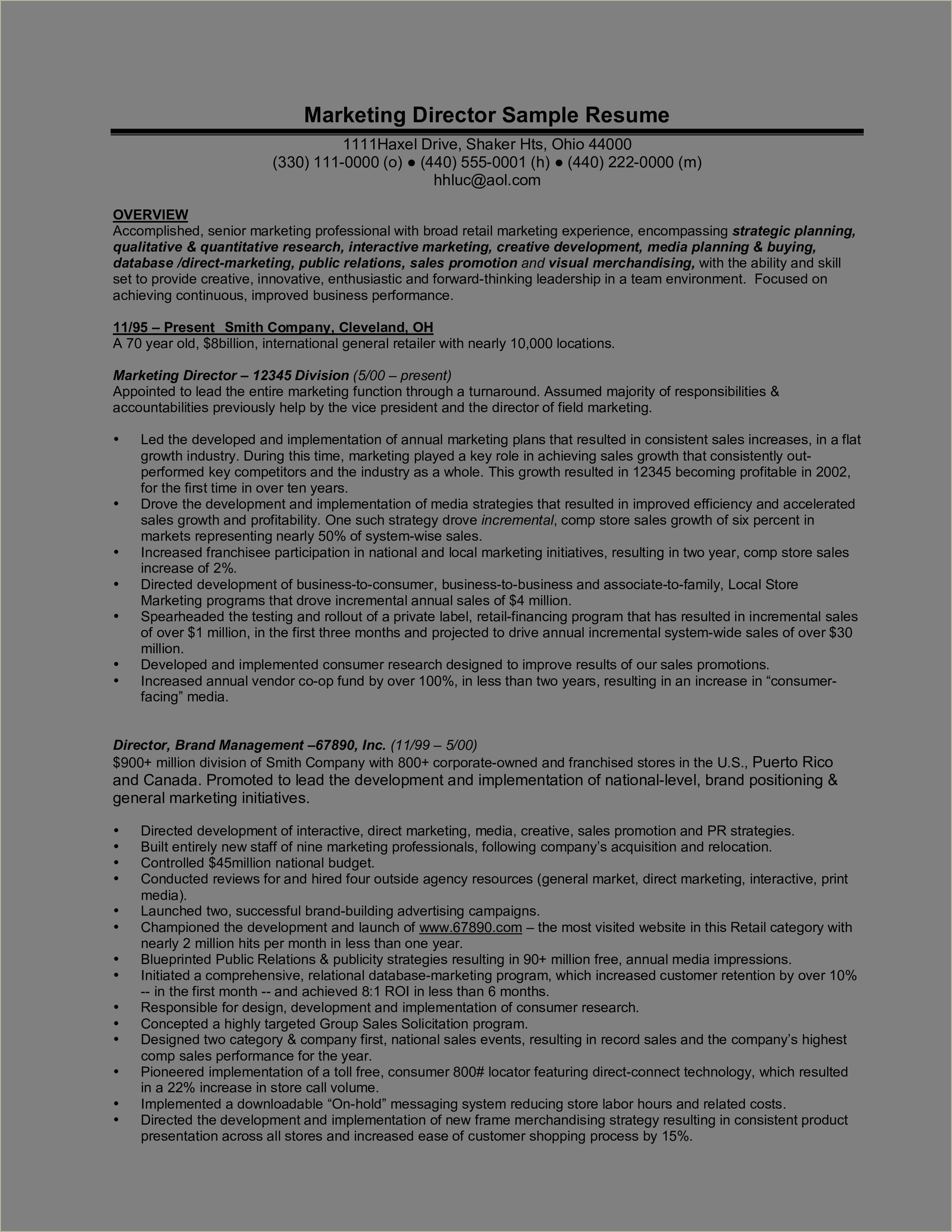 Sample Marketing Executive Resume With Community Involvement