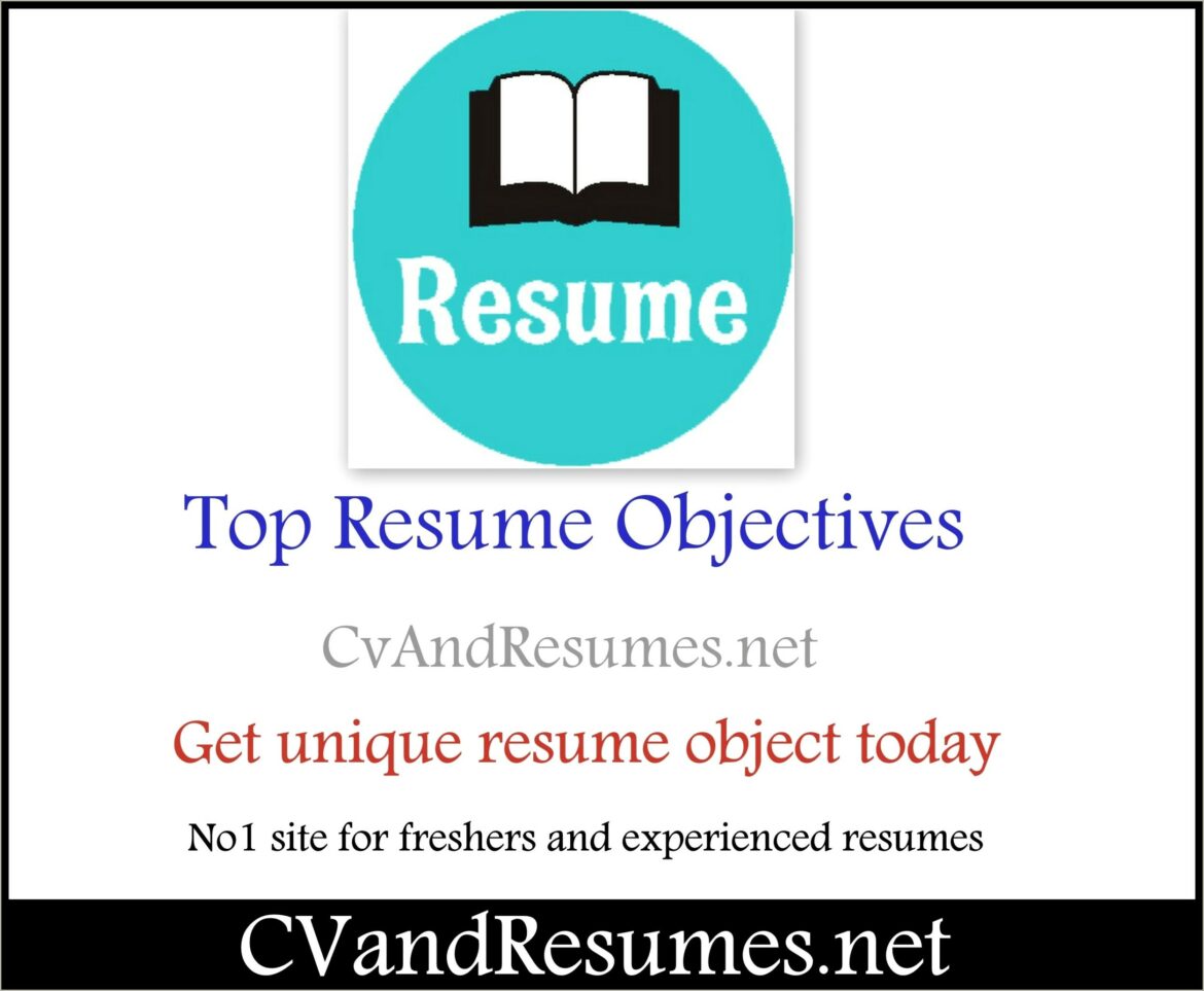 Sample Objective Resume Description For Fresher