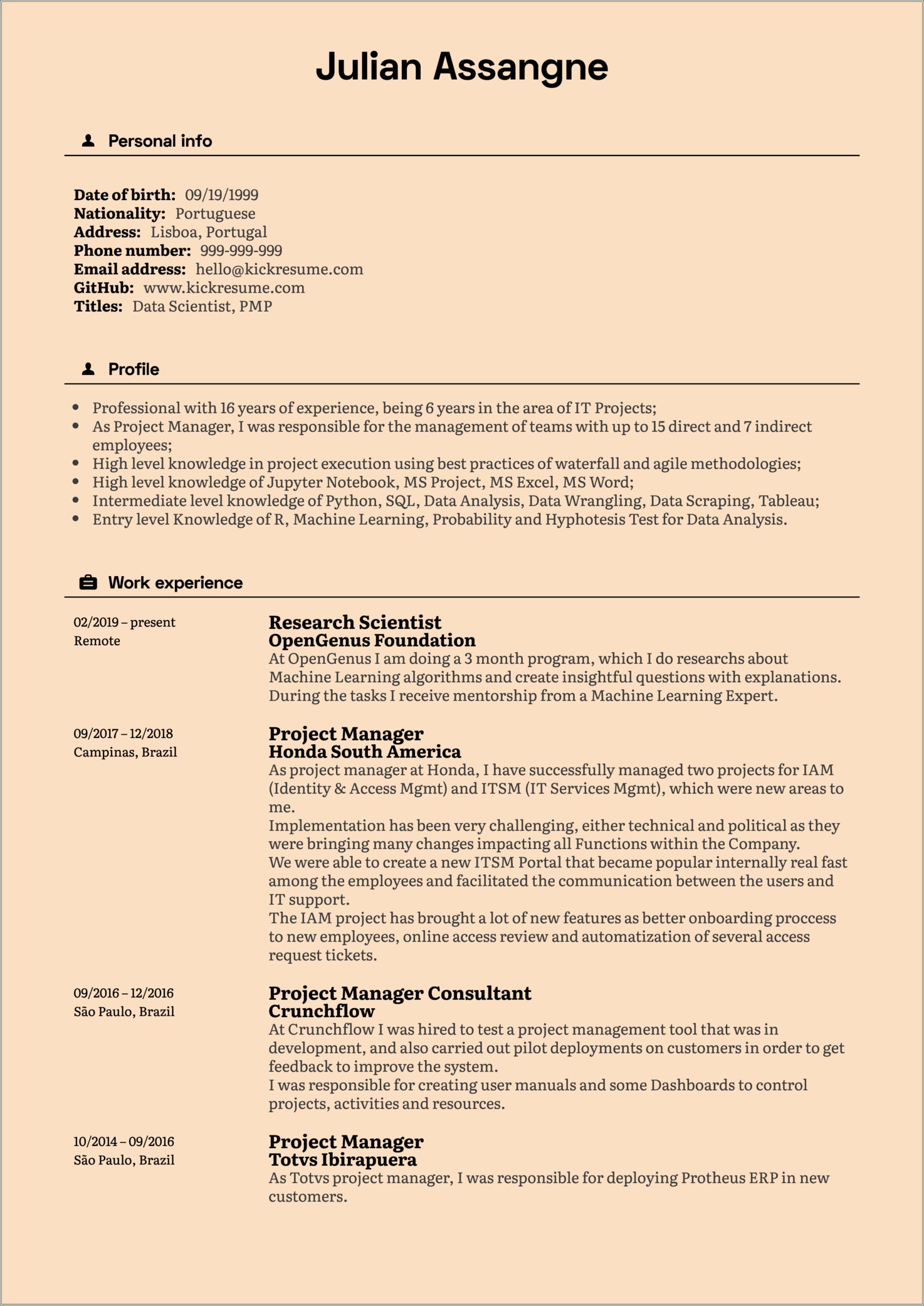 Sample Of Great Project Manager Resume