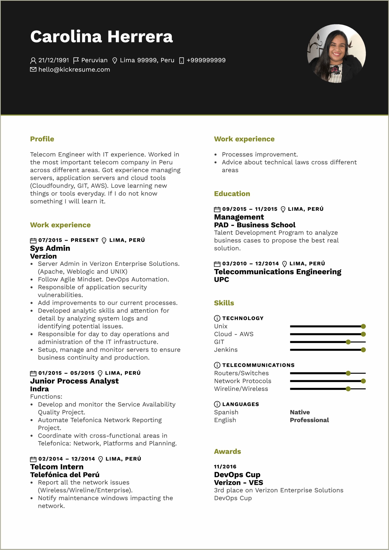 Sample Of Perfect Resume For Job Application