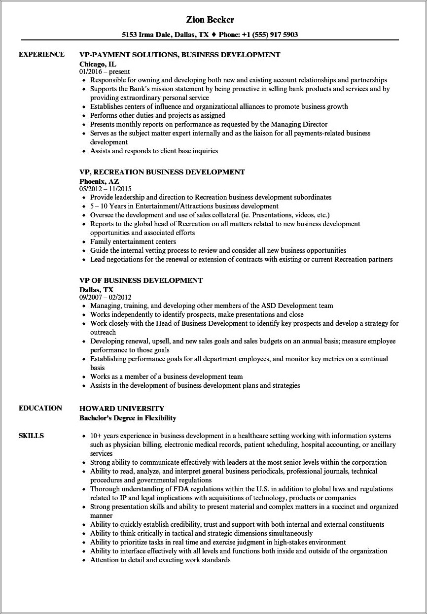 Sample Of Resumes For Vp Business Development