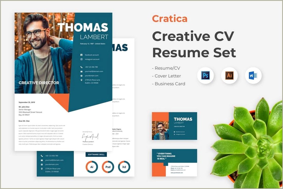 Sample Resume And Cover Letter For Creative Professional