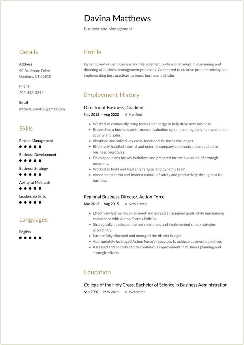 Sample Resume For A Nurse And Business Administration