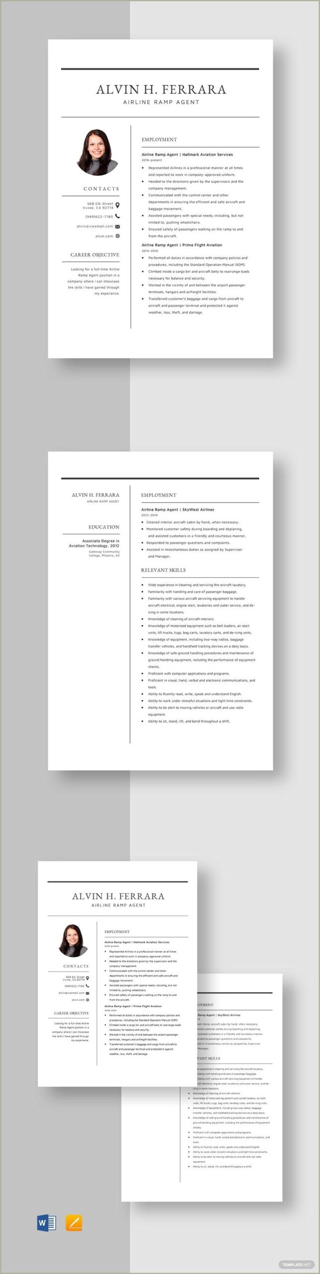 Sample Resume For Airline Ticketing Agent