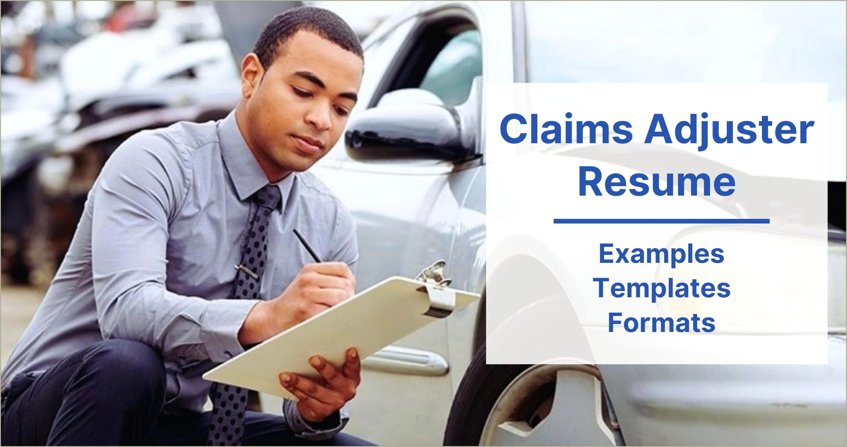 Sample Resume For Auto Claims Auditor Appraiser Estimator