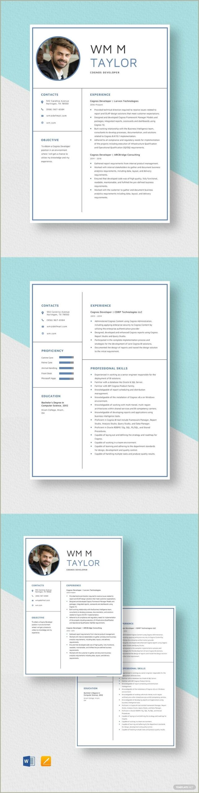 Sample Resume For Cognos Report Developer