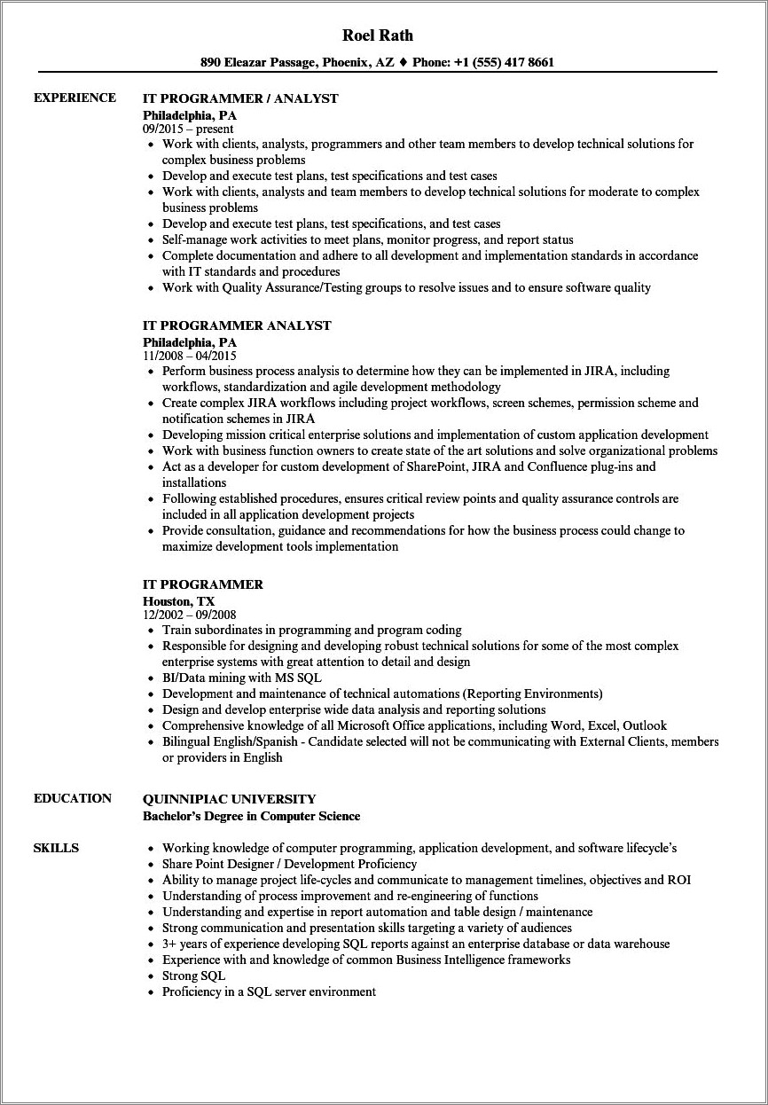 Sample Resume For Computer Programming Student