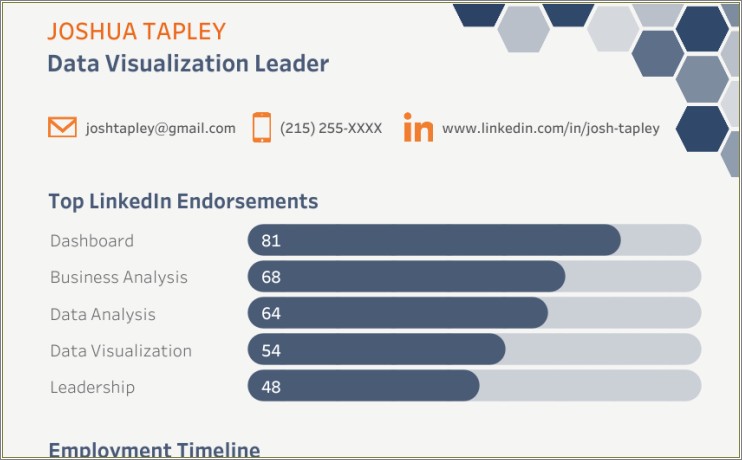 Sample Resume For Data Analyst With Visualization