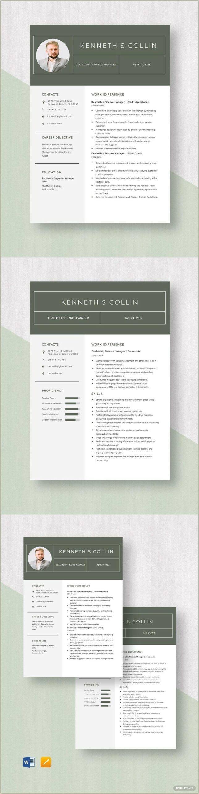 Sample Resume For Dealership Funding Clerk