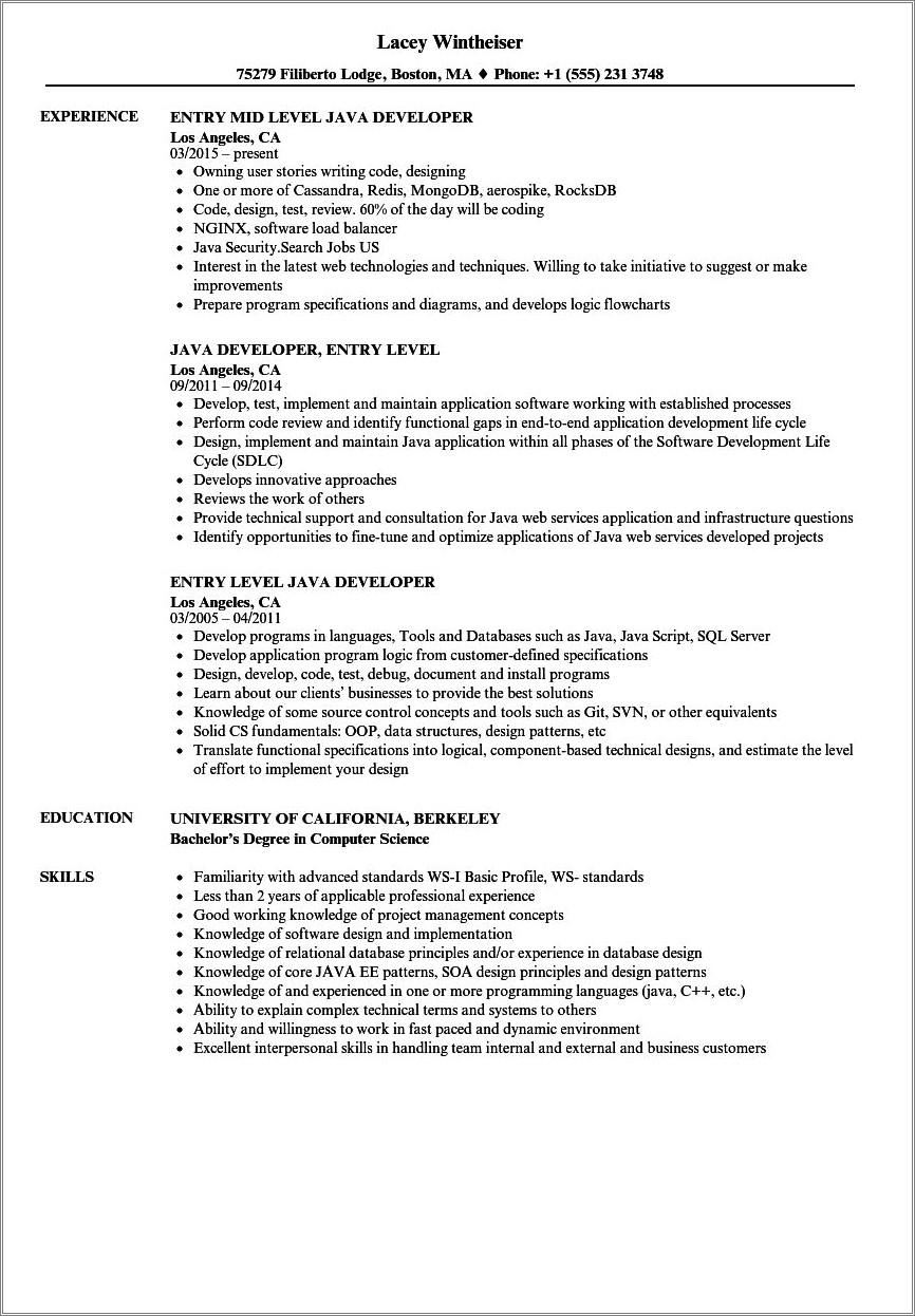 Sample Resume For Developer Fresher