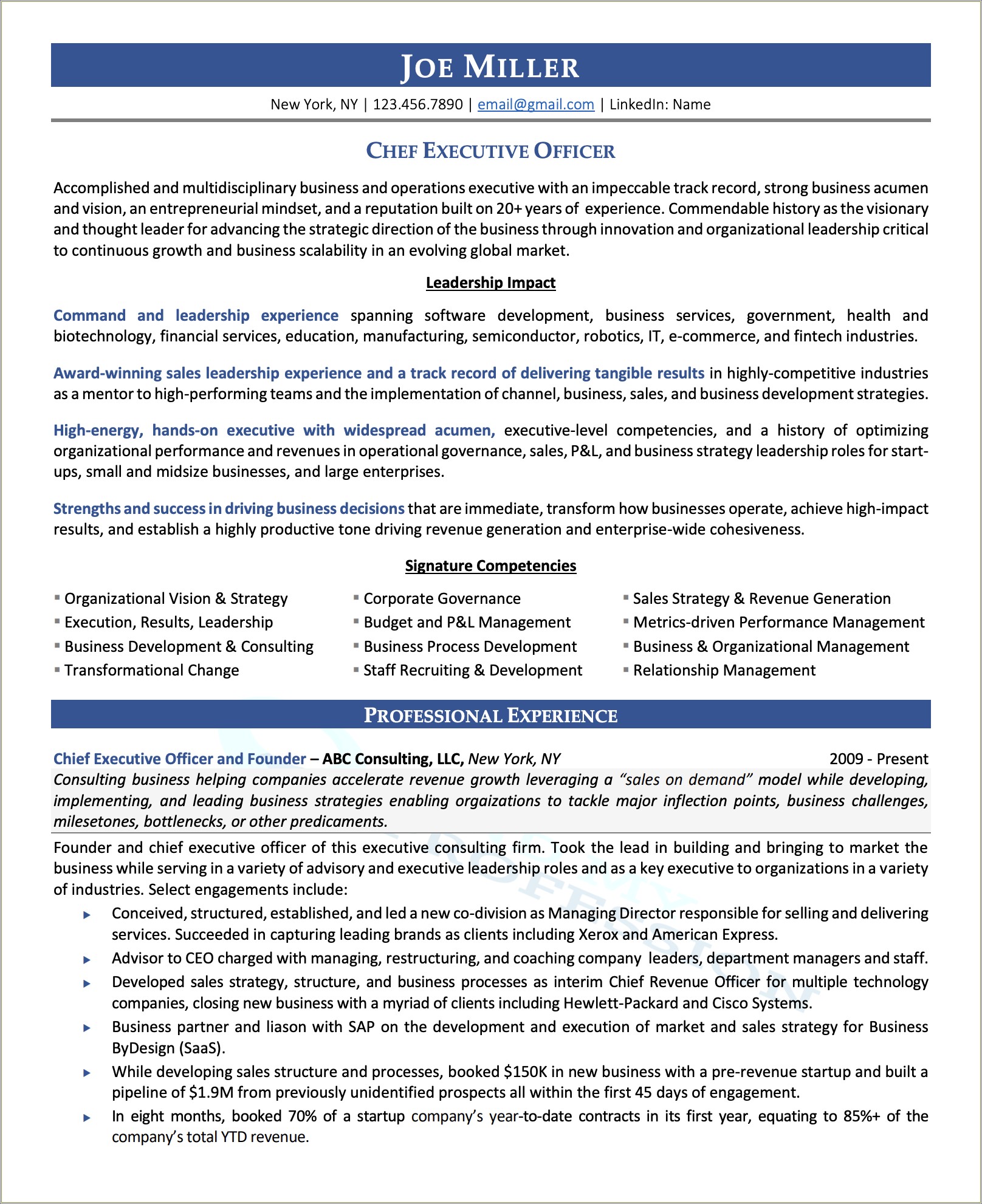 Sample Resume For Former Entrepreneursbusiness Consutant