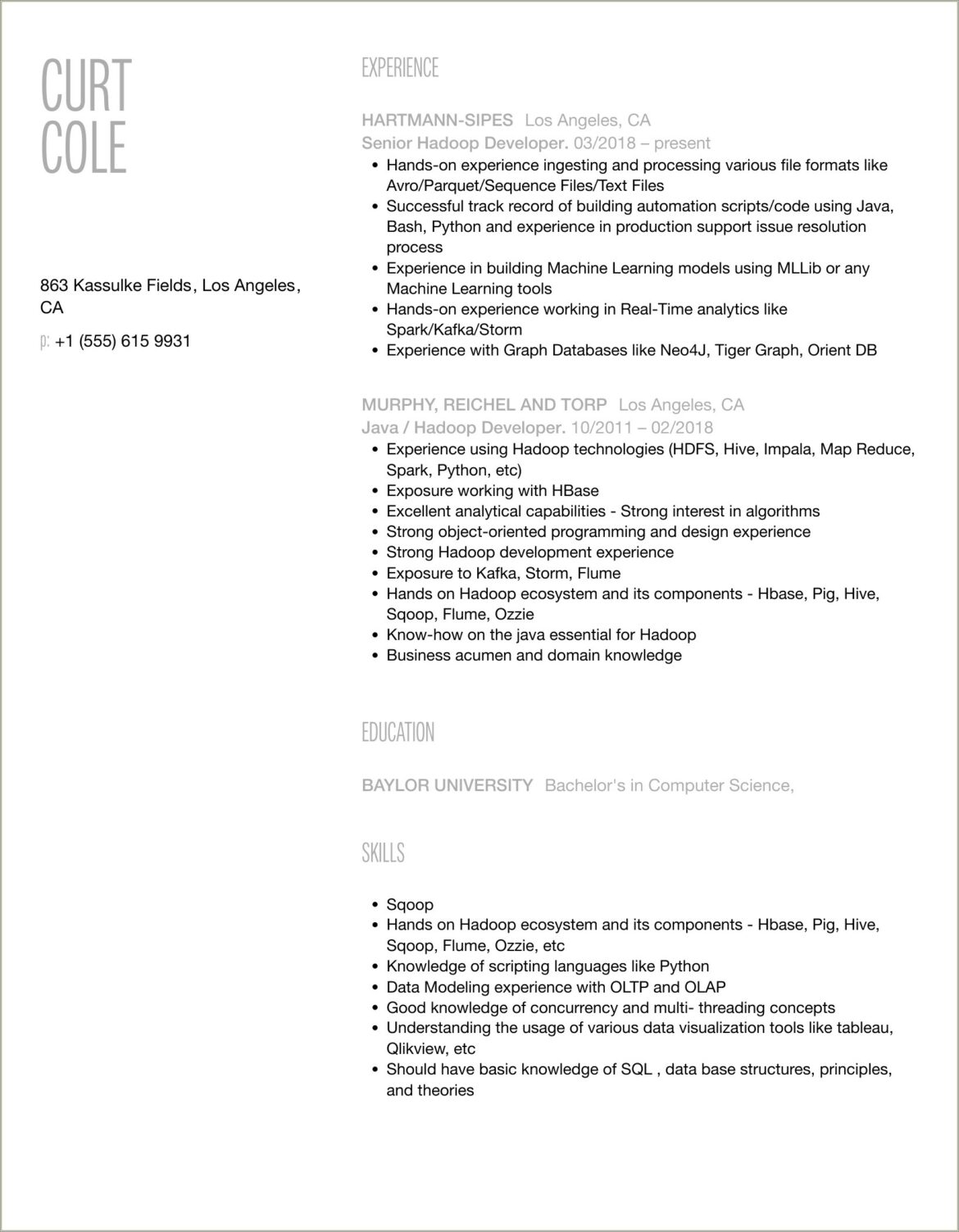 Sample Resume For Hadoop Developer With Asp.net