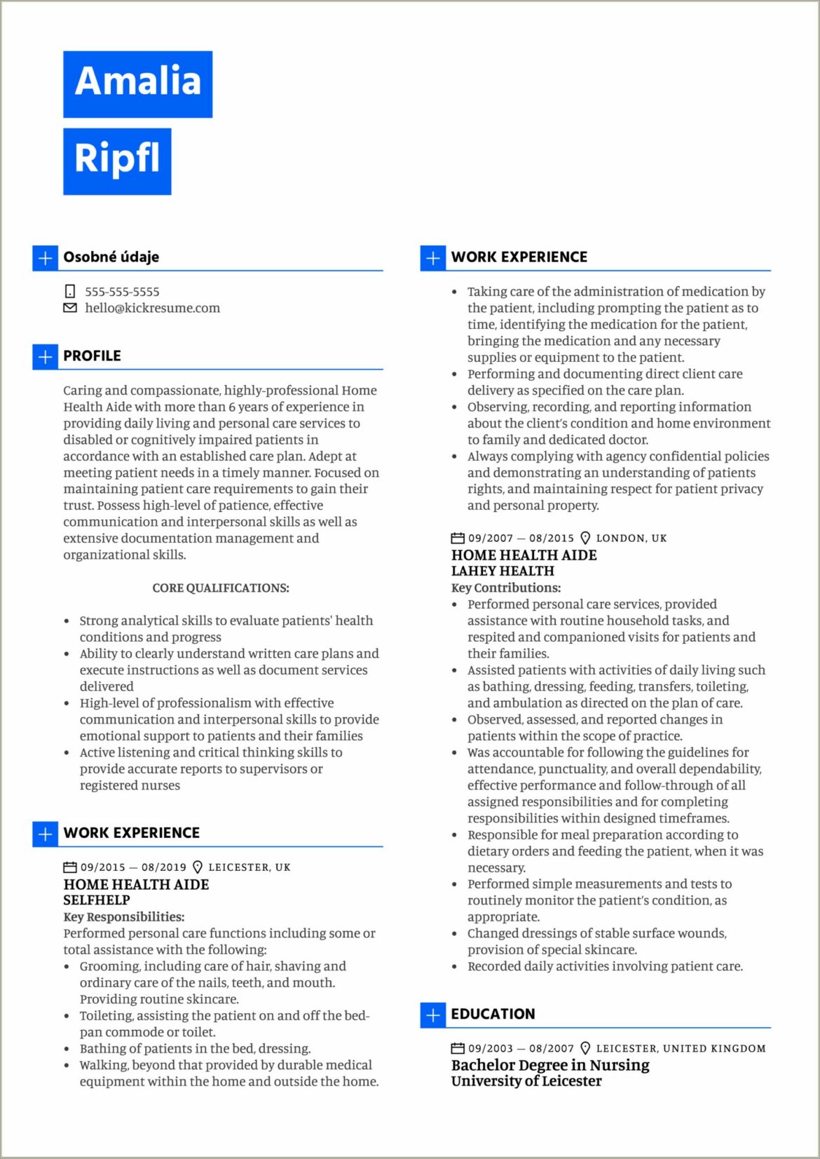 Sample Resume For Home Health Care Provider