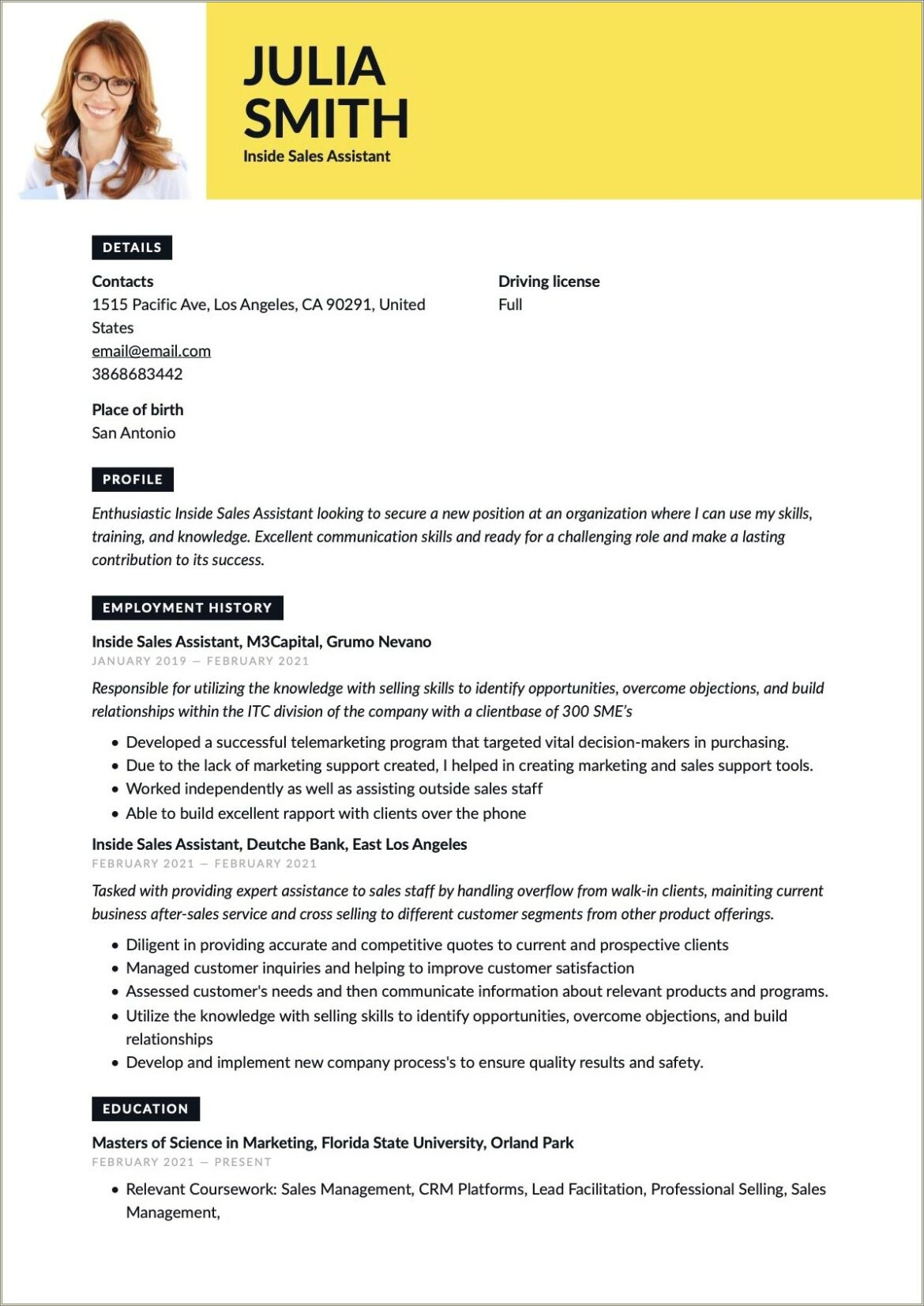 Sample Resume For Inside Sales Position
