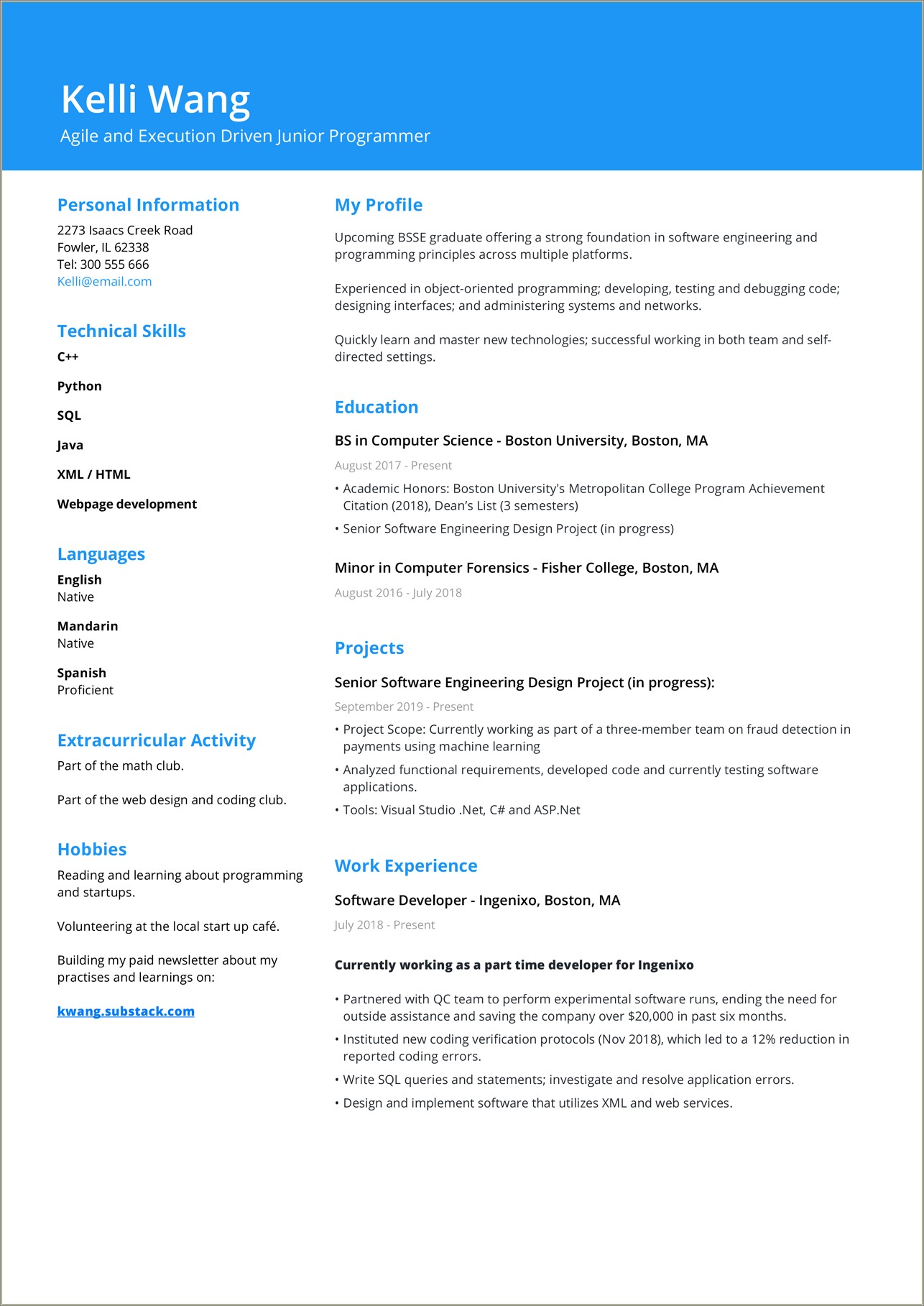 Sample Resume For It Professional Fresher Doc