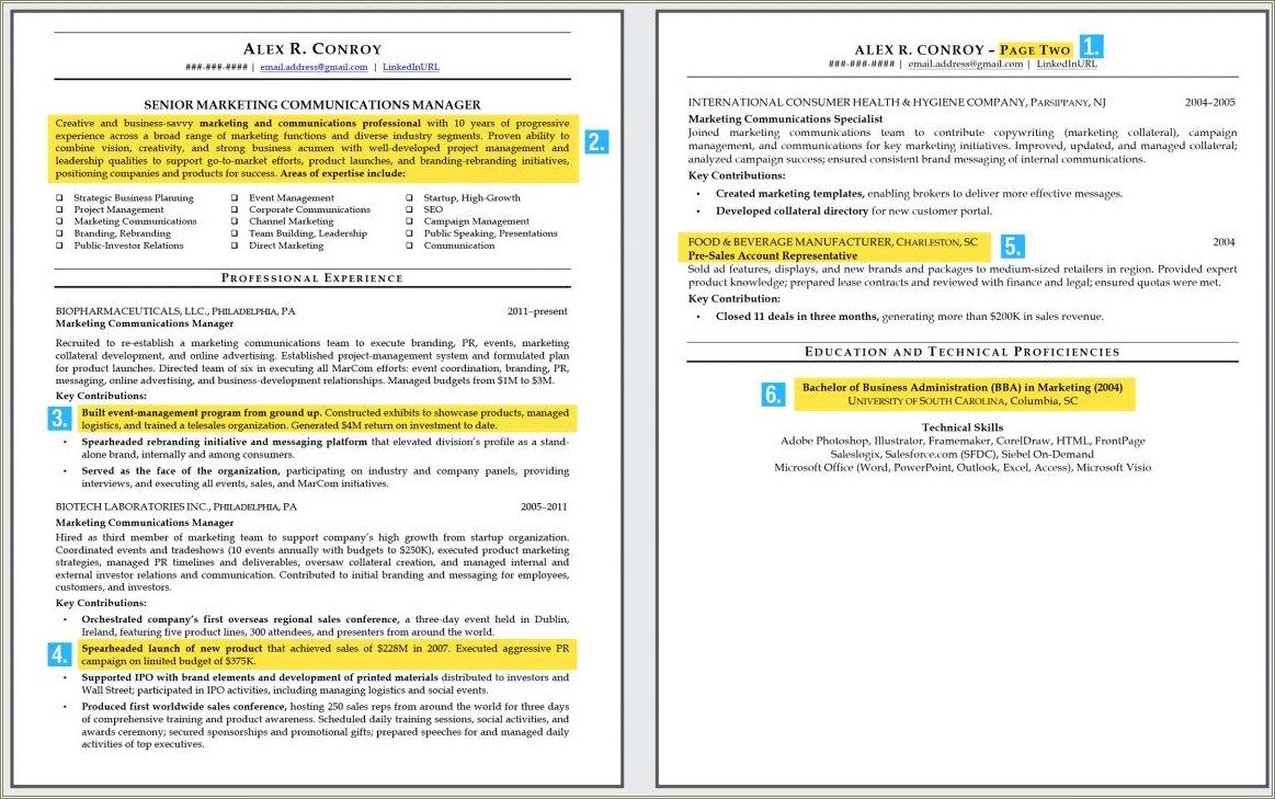 Sample Resume For Midl Level Manager