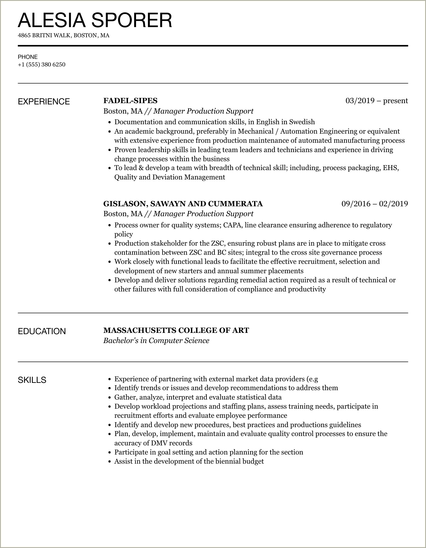 Sample Resume For Production Support Lead