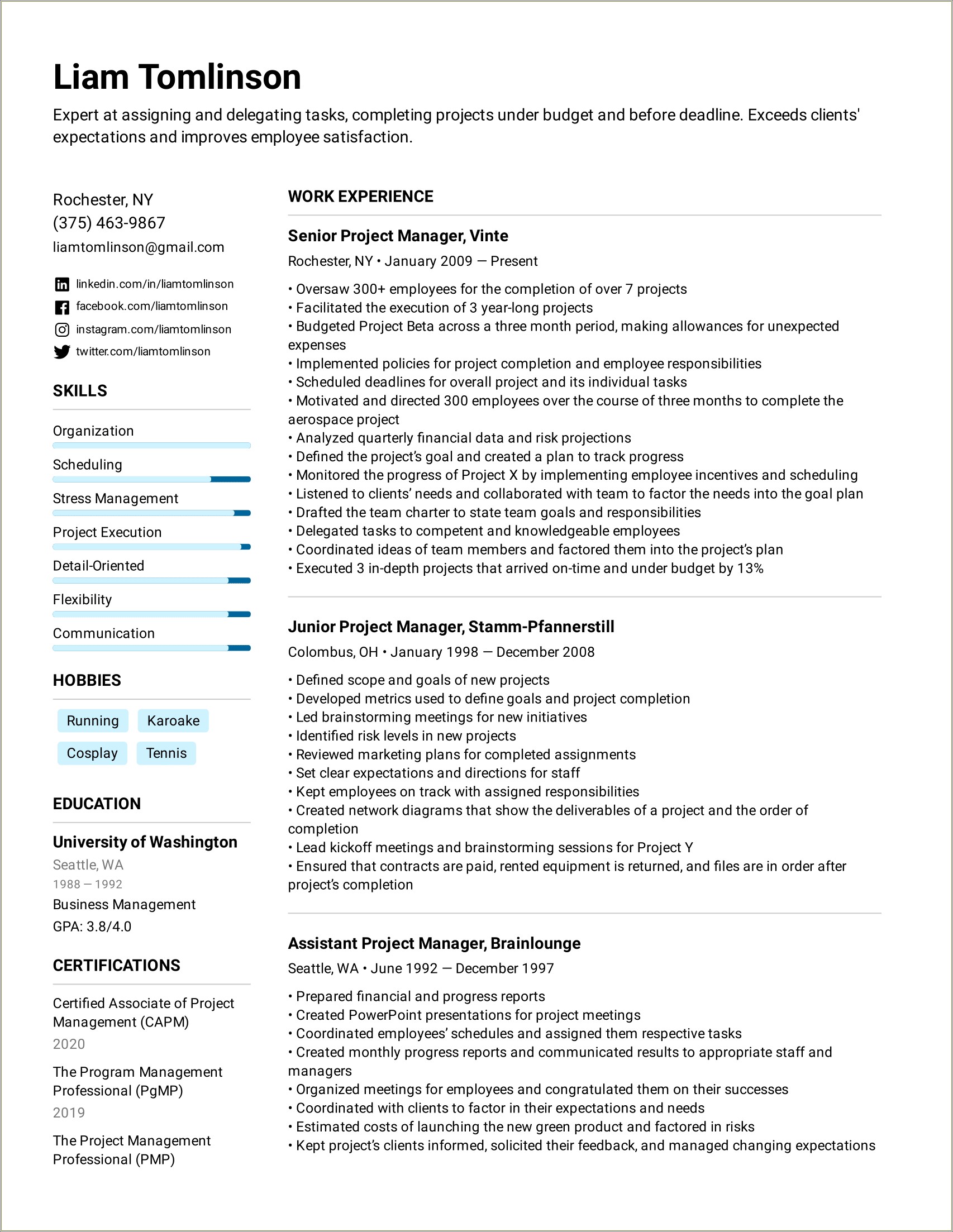 Sample Resume For Project Lead