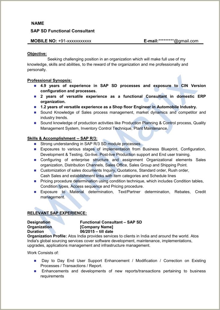 Sample Resume For Sap Basis Consultant
