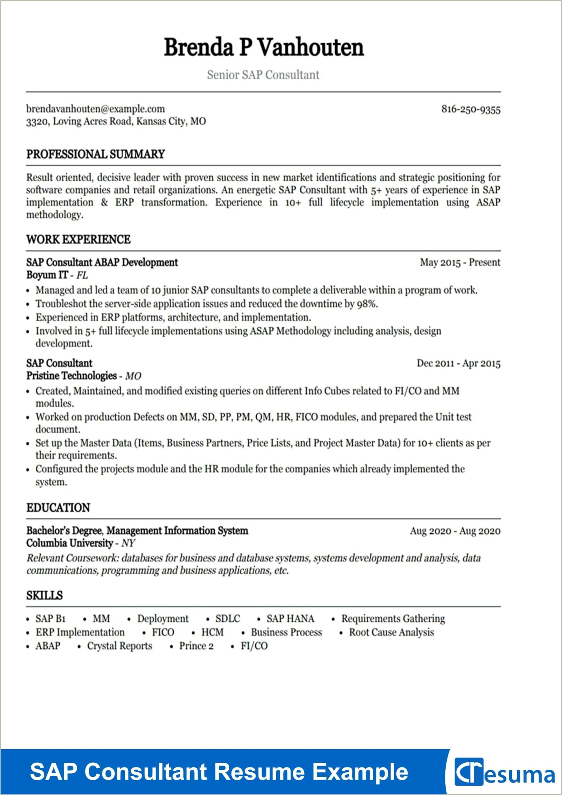 Sample Resume For Sap Mm Consultant