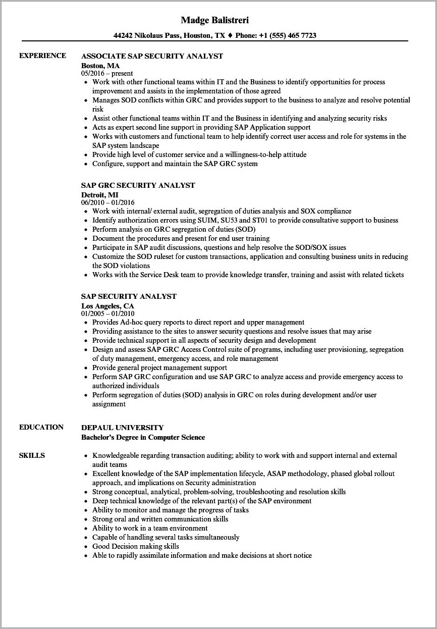 Sample Resume For Sap Security Consultant