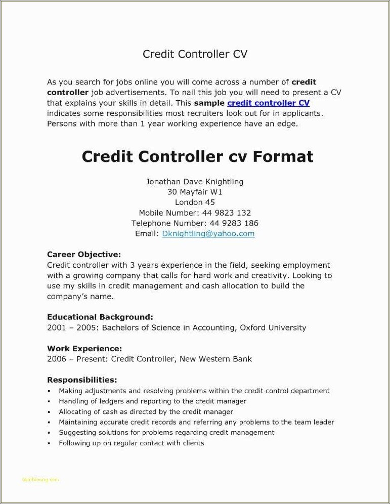 Sample Resume For The Post Of Credit Manager