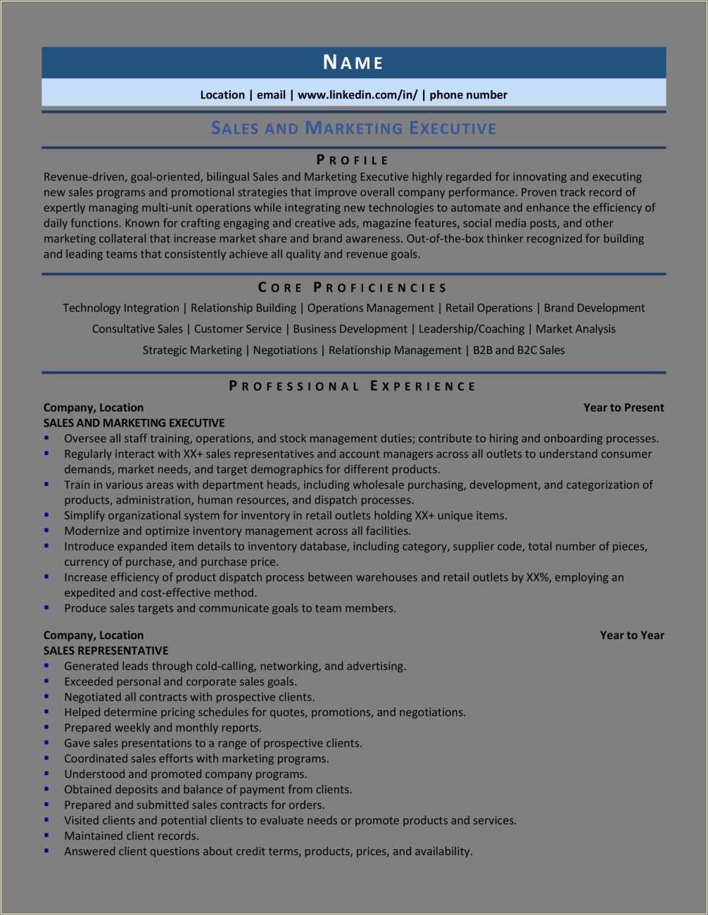 Sample Resume For Vp Of Sales And Marketing