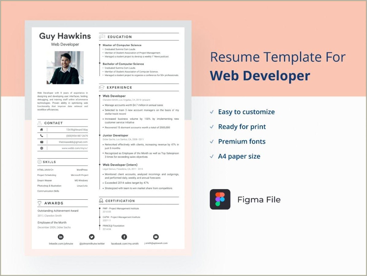 Sample Resume Format For Experienced Web Developer