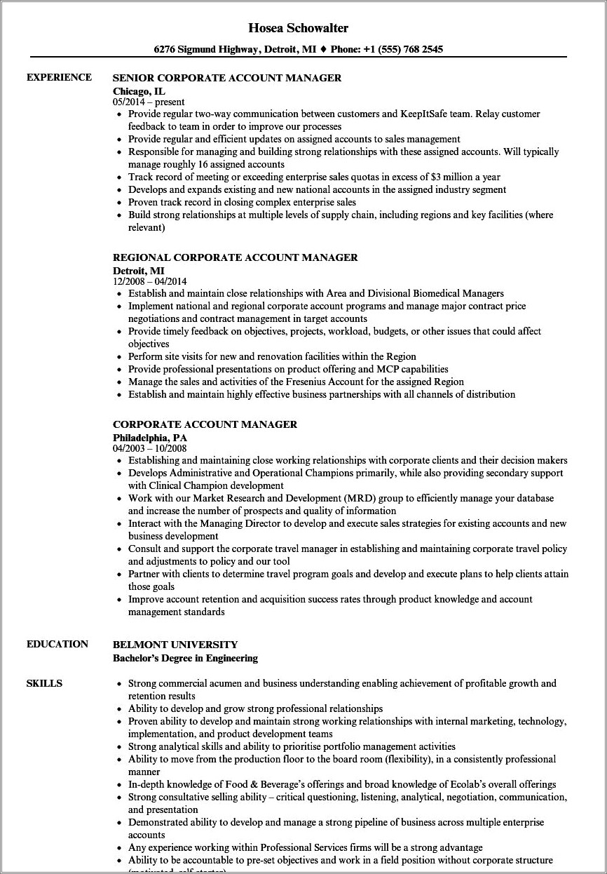 Sample Resume Mid Level Account Manager