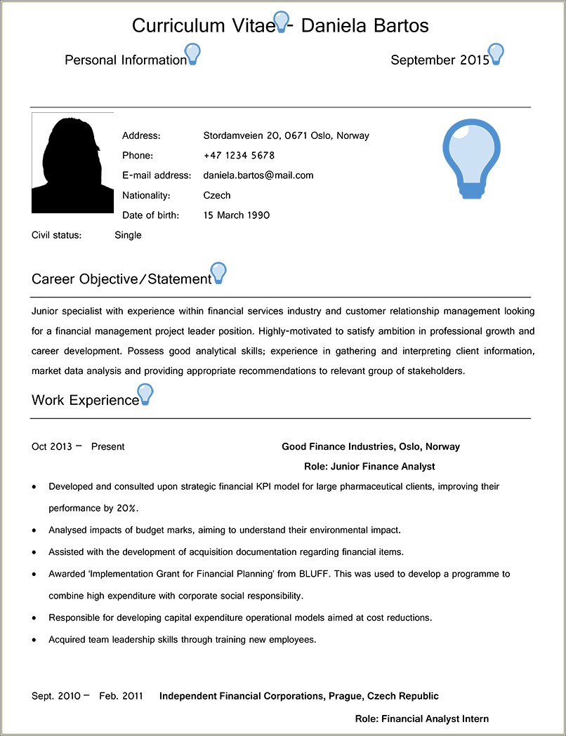 Sample Resume Objecctive Statements For It Professional