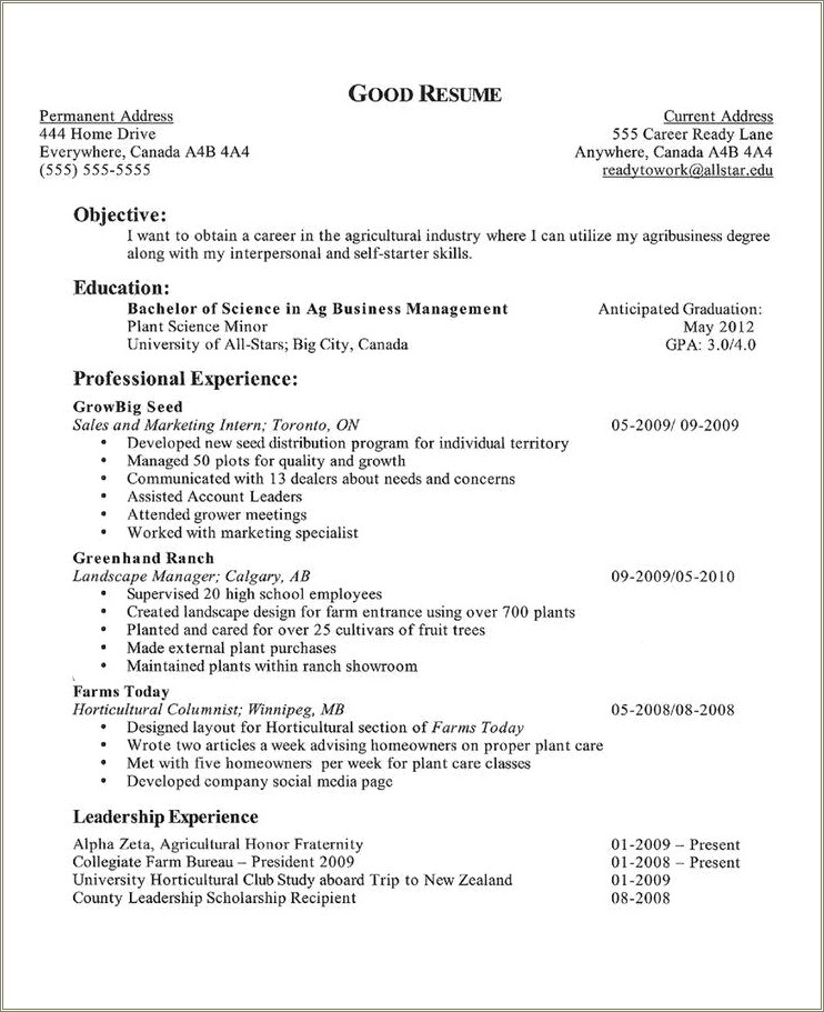 Sample Resume Objective For Undergraduate College Students