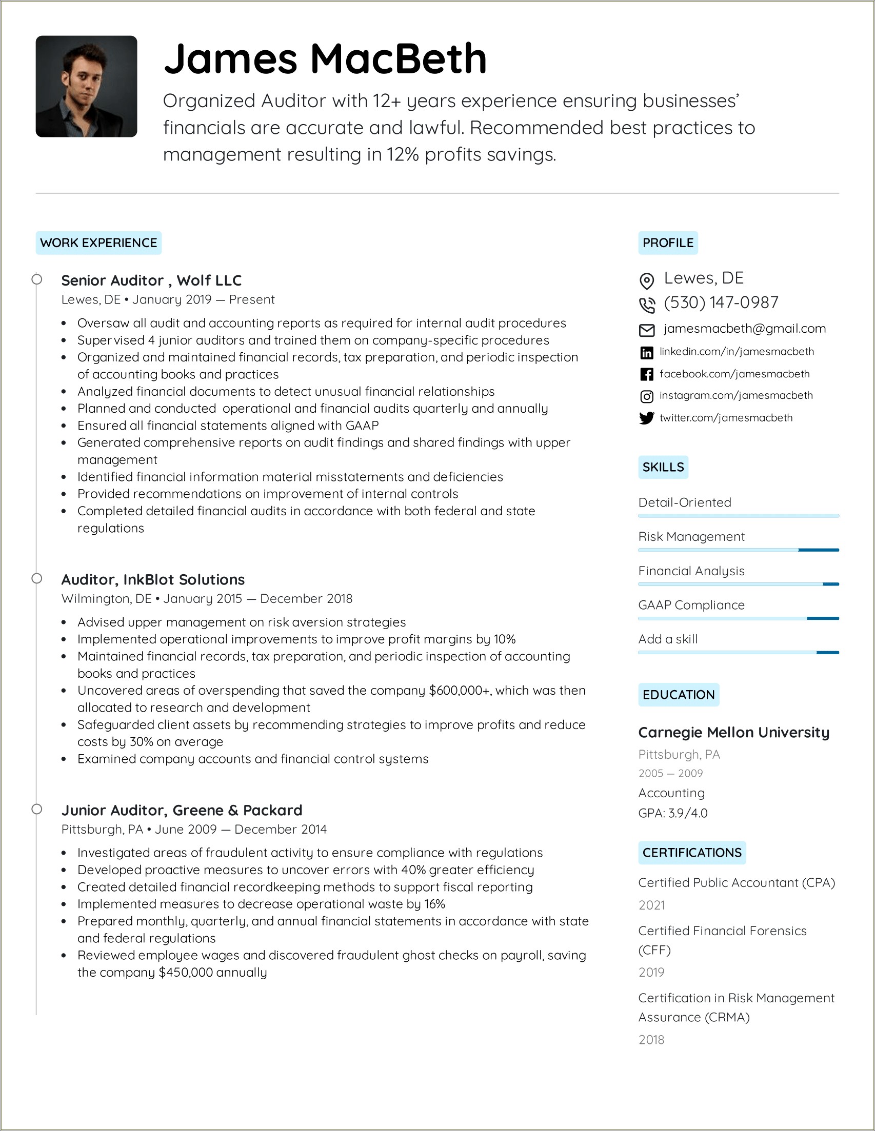 Sample Resume Of External Audit Manager