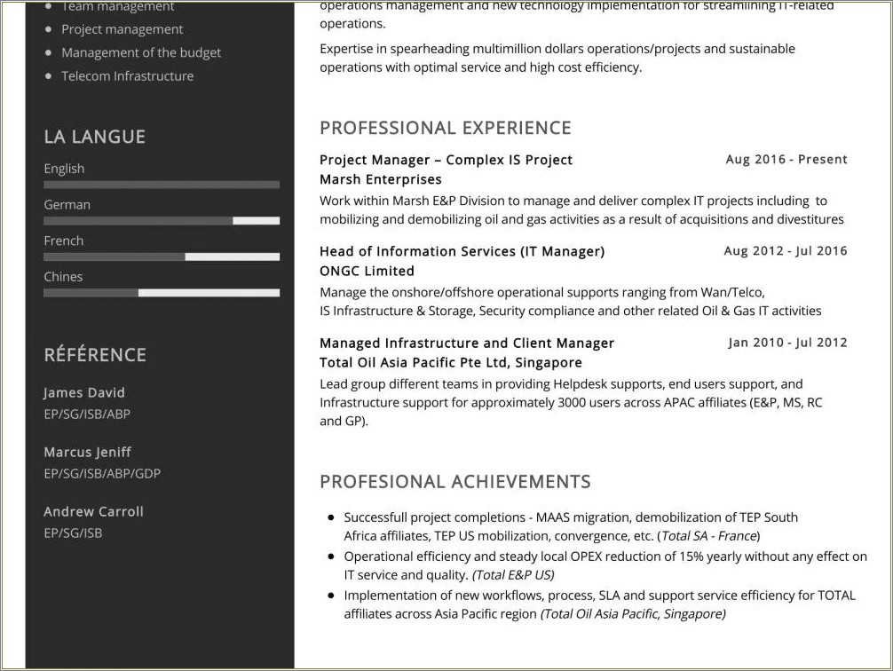 Sample Resume Of It Tech Lead Project Manager
