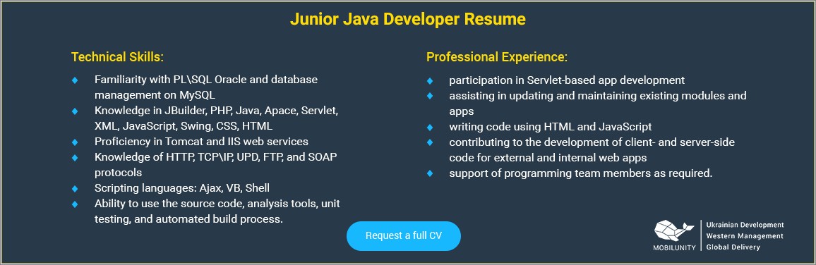 Sample Resume Of Java J2ee Developer