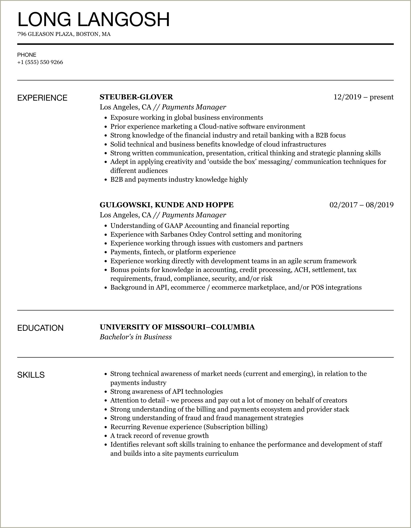 Sample Resume On Payments Related Systems